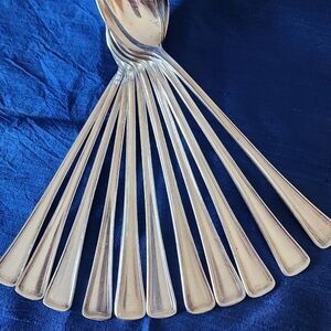 Elegant Silver Spoons Set